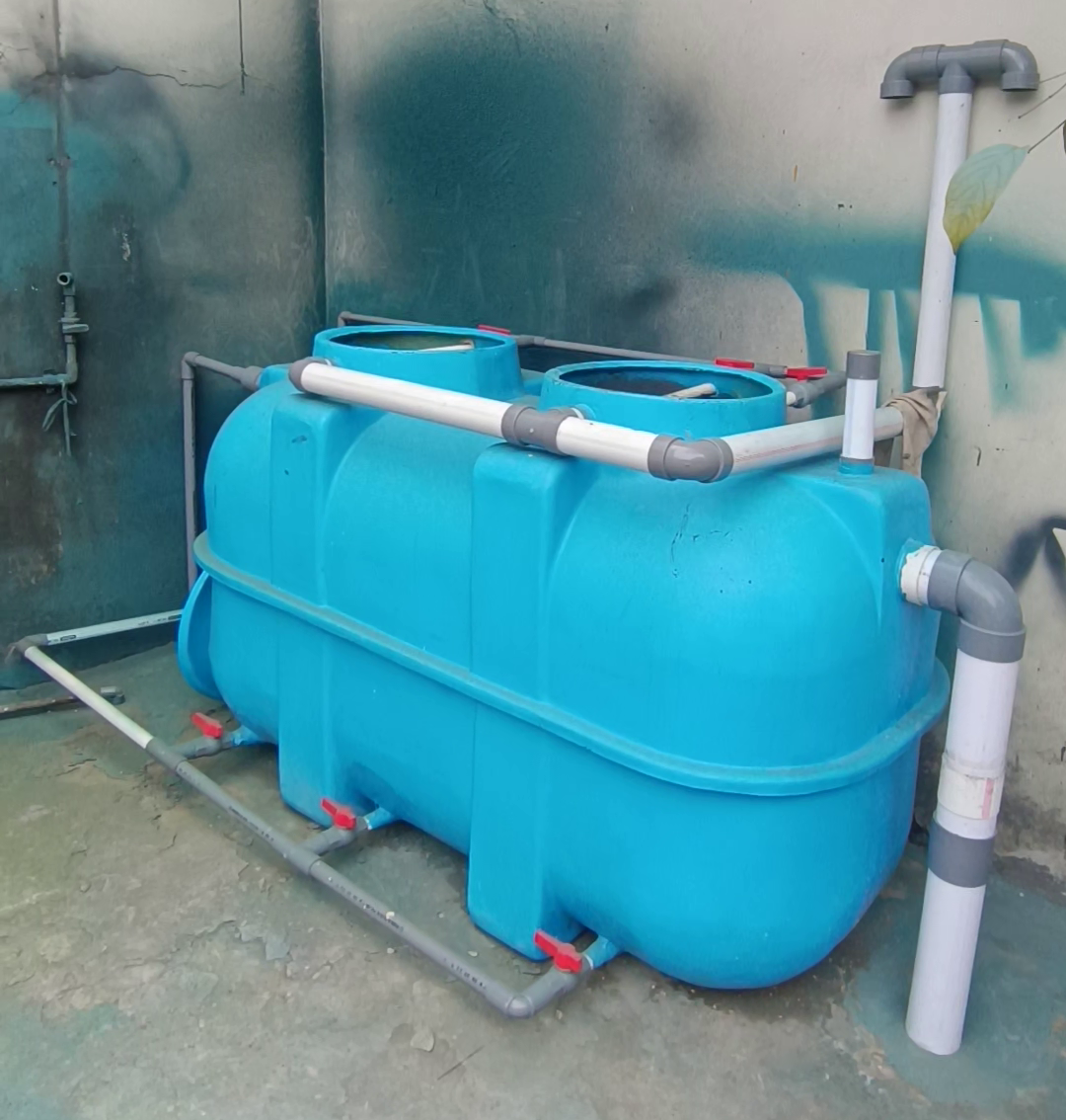 vlcsnap-2026-03-02-07h59m51s995